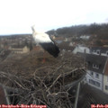08_35-nest.jpg