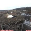 08_40-nest.jpg