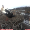 08_45-nest.jpg