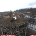 09_15-nest.jpg