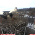 09_25-nest.jpg