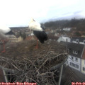 09_40-nest.jpg