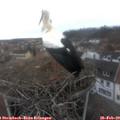 10_05-nest.jpg