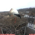 10_10-nest.jpg