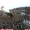 10_20-nest.jpg