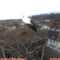 10_25-nest.jpg