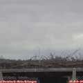 10_30-mast.jpg