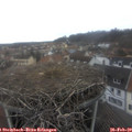 10_45-nest.jpg