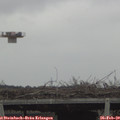10_55-mast.jpg