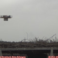 11_00-mast.jpg