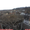 11_00-nest.jpg