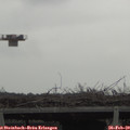 11_05-mast.jpg