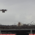 11_10-mast.jpg