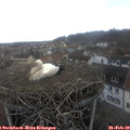 11_20-nest.jpg