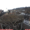 11_55-nest.jpg