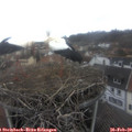 12_05-nest.jpg