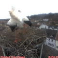 12_15-nest.jpg