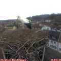 12_25-nest.jpg