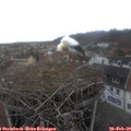 12_40-nest.jpg