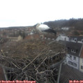 12_45-nest.jpg