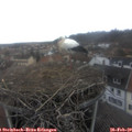 12_50-nest.jpg