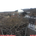 13_05-nest.jpg
