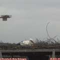 13_15-mast.jpg