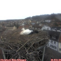 13_15-nest.jpg