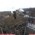 13_35-nest.jpg