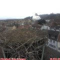 13_55-nest.jpg