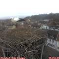 14_00-nest.jpg