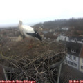 14_05-nest.jpg