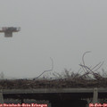 14_15-mast.jpg