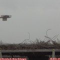 14_20-mast.jpg