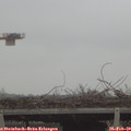 14_25-mast.jpg