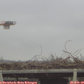 14_30-mast.jpg