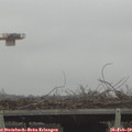 14_40-mast.jpg