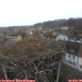 14_45-nest.jpg