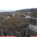 14_50-nest.jpg