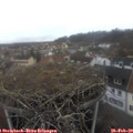 14_55-nest.jpg