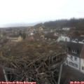 15_00-nest.jpg