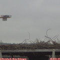 15_05-mast.jpg