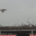15_20-mast.jpg