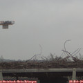 15_25-mast.jpg