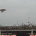 15_30-mast.jpg