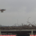 15_35-mast.jpg