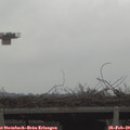 15_40-mast.jpg
