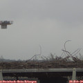 15_45-mast.jpg
