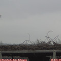 16_00-mast.jpg