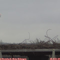 16_05-mast.jpg
